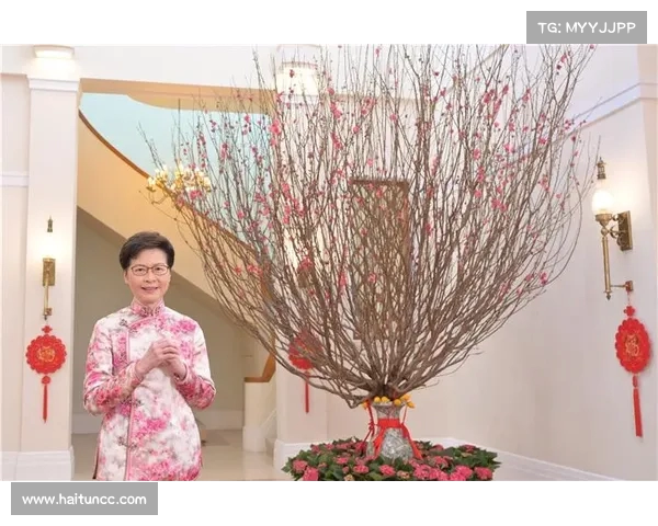 林郑月娥退休后困境:因遭制裁,香港租房生活成唯一选择 林郑月娥退休后困境:因遭制裁,香港租房生活成唯一选择