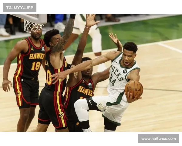 雄鹿进攻策略优化